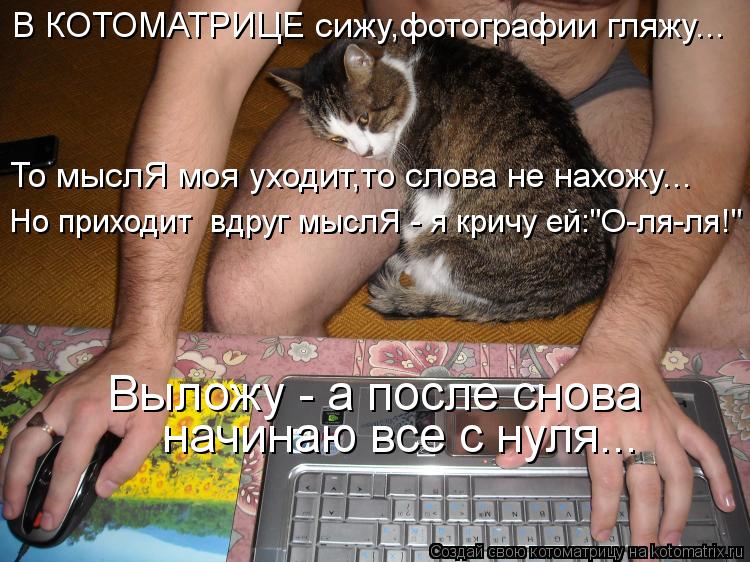 Котоматрица: В КОТОМАТРИЦЕ сижу,фотографии гляжу... То мыслЯ моя уходит,то слова не нахожу... Но приходит  вдруг мыслЯ - я кричу ей:"О-ля-ля!" Выложу - а после 
