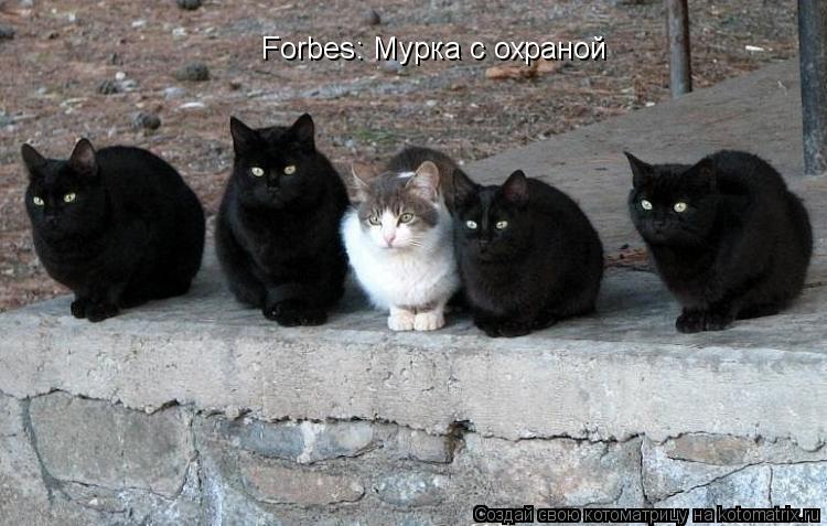Котоматрица: Forbes: Мурка с охраной
