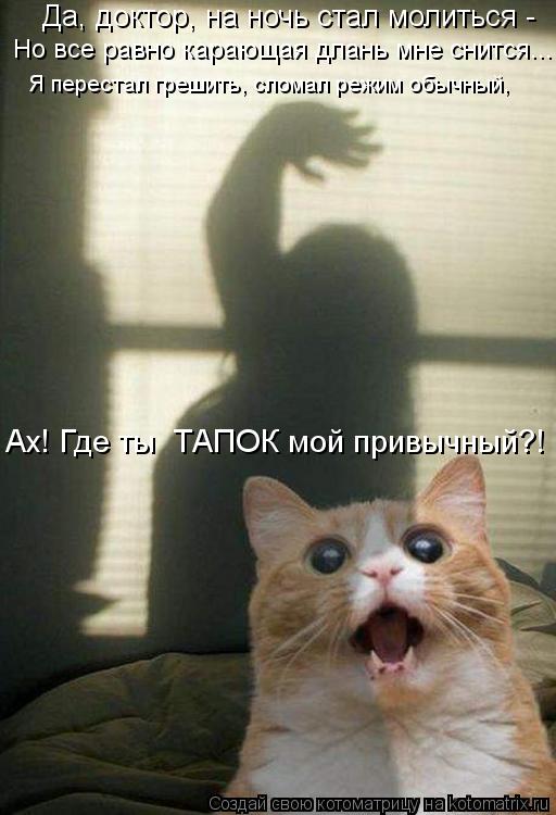Котоматрица: Да, доктор, на ночь стал молиться - Но все равно карающая длань мне снится... Я перестал грешить, сломал режим обычный, Ах! Где ты  ТАПОК мой при
