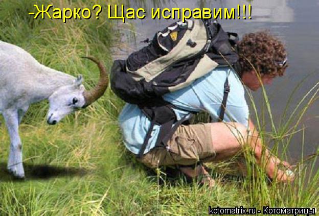 Котоматрица: -Жарко? Щас исправим!!!