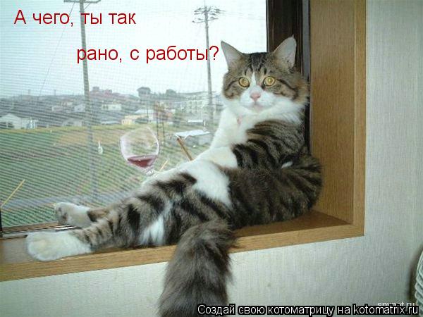 Котоматрица: А чего, ты так  рано, с работы?