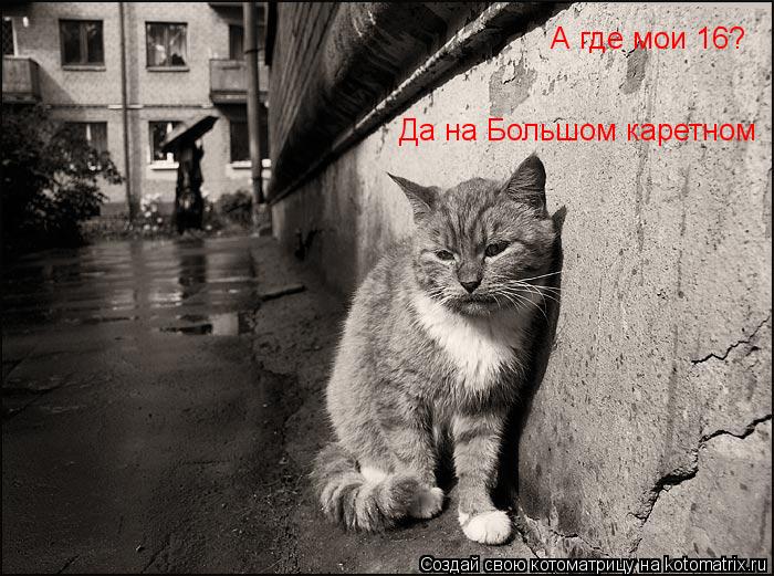 Котоматрица: А где мои 16? Да на Большом каретном