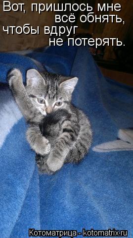 Котоматрица: Вот, пришлось мне всё обнять, чтобы вдруг  не потерять.
