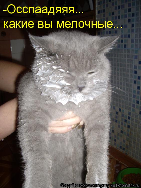 Котоматрица: -Осспаадяяя...  какие вы мелочные...
