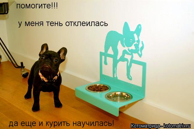 Котоматрица: помогите!!! у меня тень отклеилась да еще и курить научилась!