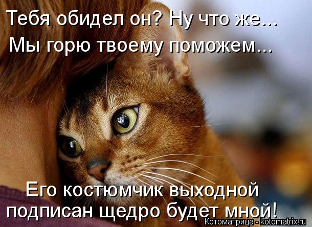 Котоматрица: Тебя обидел он? Ну что же... Мы горю твоему поможем... Его костюмчик выходной подписан щедро будет мной!