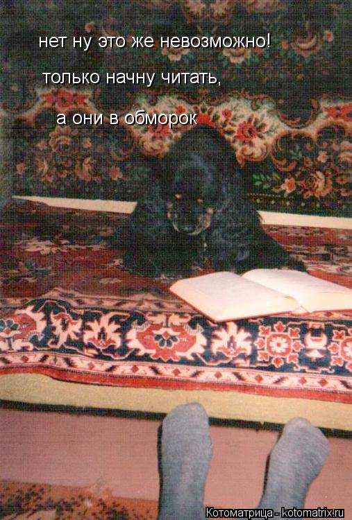 Котоматрица: нет ну это же невозможно! только начну читать,  а они в обморок