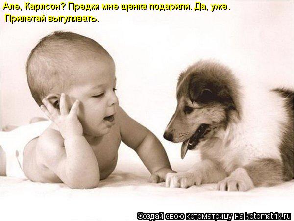 Котоматрица: Прилетай выгуливать. Але, Карлсон? Предки мне щенка подарили. Да, уже.