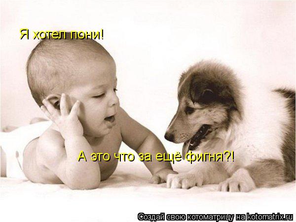 Котоматрица: Я хотел пони! А это что за ещё фигня?!