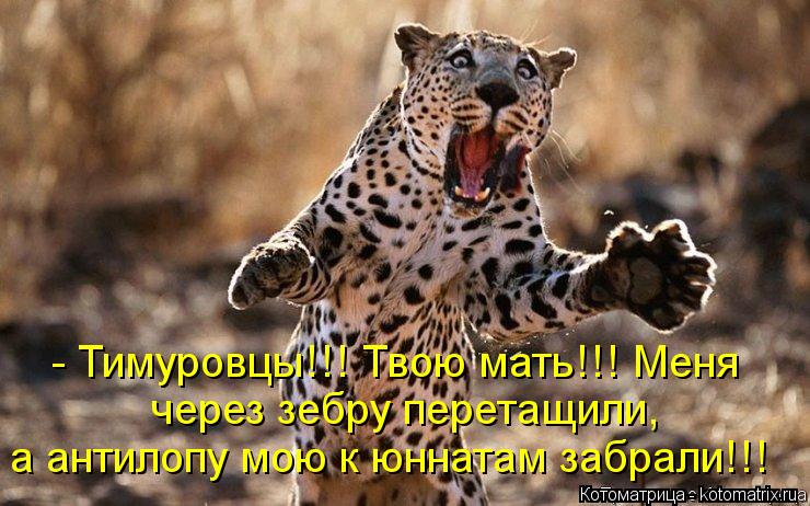 Котоматрица: - Тимуровцы!!! Твою мать!!! Меня через зебру перетащили, а антилопу мою к юннатам забрали!!!