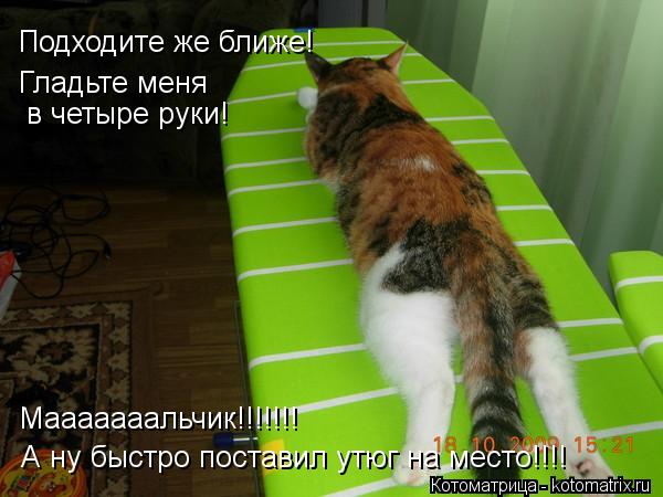 Подходите же ближе! Гладьте меня А ну быстро поставил утюг на место!!!! Мааааааальчик!!!!!!! в четыр... Котоматрица: Подходите же ближе! Гладьте меня А ну быстро поставил утюг на место!!!! Мааааааальчик!!!!!!! в четыре руки!