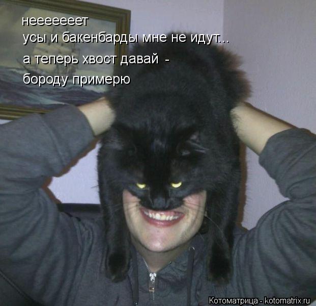 Котоматрица: нееееееет усы и бакенбарды мне не идут... а теперь хвост давай бороду примерю -