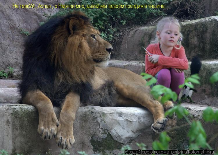 Котоматрица: Не толкУй , Аслан , о Нарнии мне, давай мы вдвоём посидим в тишине ...