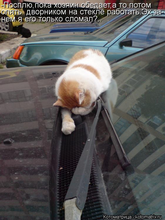 Котоматрица: -Посплю,пока хозяин обедает,а то потом опять  дворником на стекле работать.Эх,за- чем я его только сломал?..