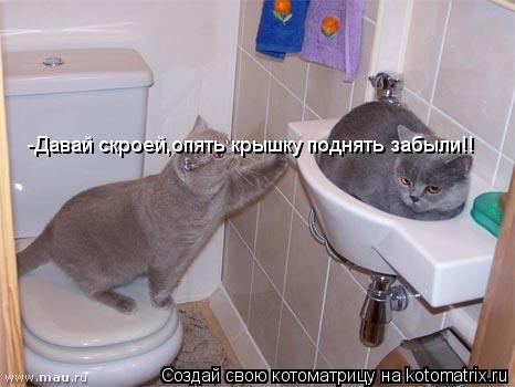 Котоматрица: -Давай скроей,опять крышку поднять забыли!!