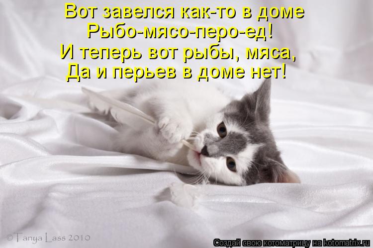 Котоматрица: Вот завелся как-то в доме Рыбо-мясо-перо-ед! И теперь вот рыбы, мяса, Да и перьев в доме нет!