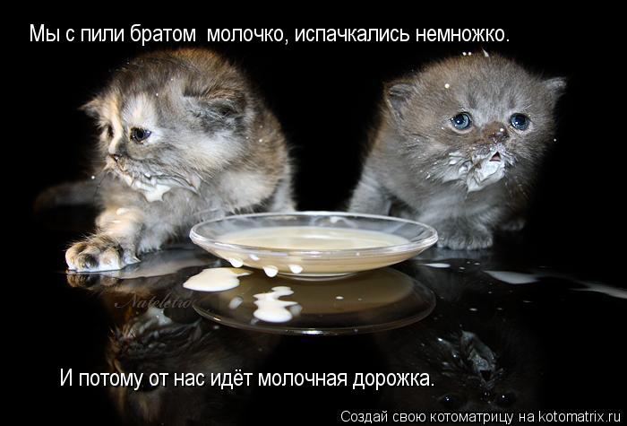 Мы с пили братом молочко, испачкались немножко. И потому от нас идёт молочная дорожка.... Котоматрица: Мы с пили братом молочко, испачкались немножко. И потому от нас идёт молочная дорожка.