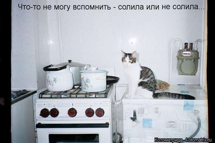 Котоматрица: Что-то не могу вспомнить - солила или  не солила...