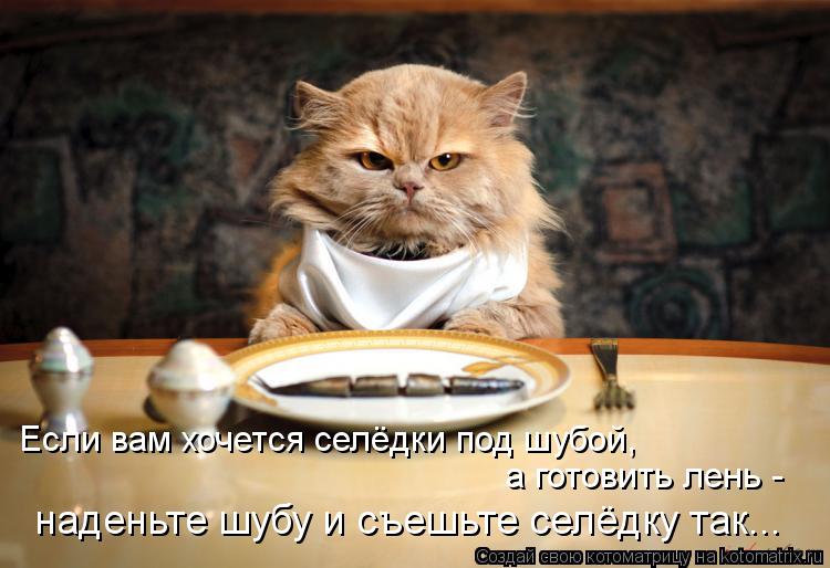 Если вам хочется селёдки под шубой, а готовить лень - наденьте шубу и съешьте селёдку так...... Котоматрица: Если вам хочется селёдки под шубой, а готовить лень - наденьте шубу и съешьте селёдку так...
