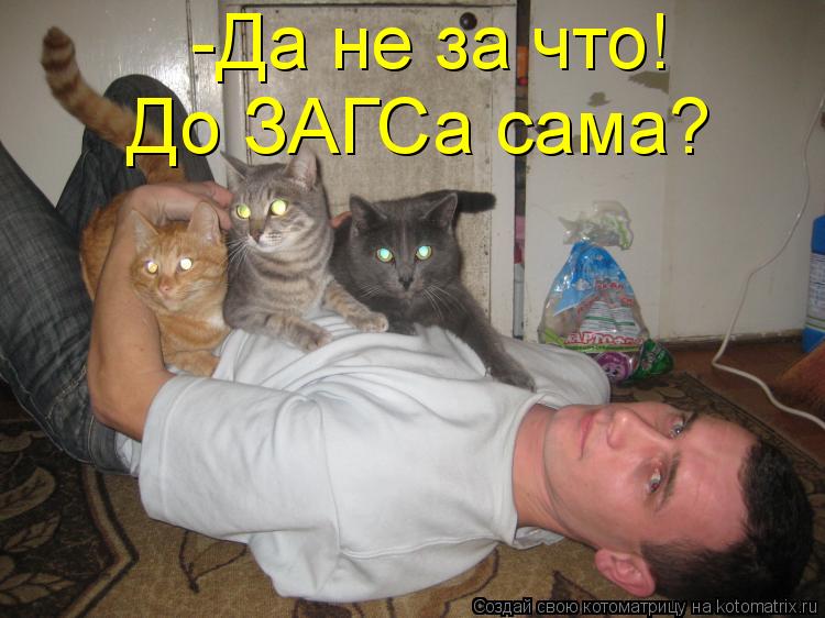 Котоматрица: -Да не за что!  До ЗАГСа сама?