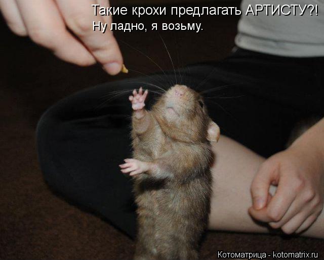 Котоматрица: Такие крохи предлагать АРТИСТУ?! Ну ладно, я возьму.