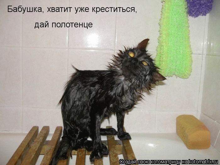 Котоматрица: Бабушка, хватит уже креститься, дай полотенце