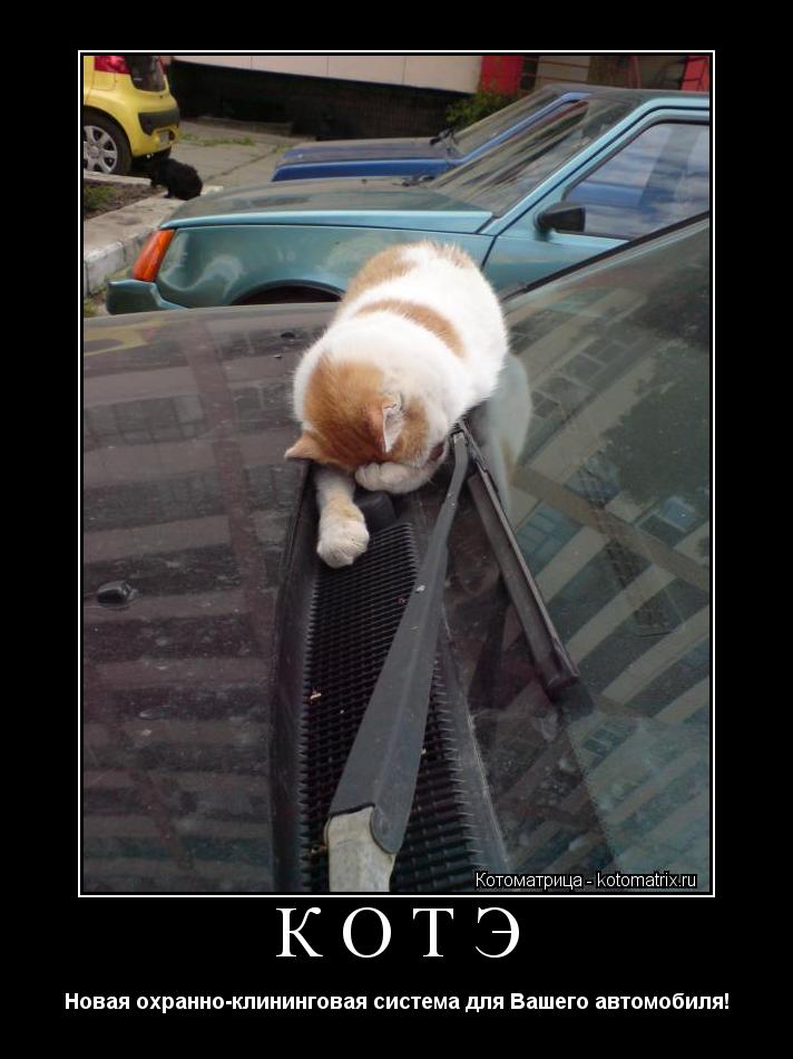 КОТЭ Новая охранно-клининговая система для Вашего автомобиля!... Котоматрица: КОТЭ Новая охранно-клининговая система для Вашего автомобиля!