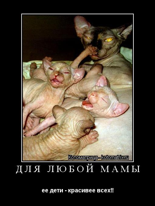 ДЛЯ ЛЮБОЙ МАМЫ ее дети - красивее всех!!... Котоматрица: ДЛЯ ЛЮБОЙ МАМЫ ее дети - красивее всех!!