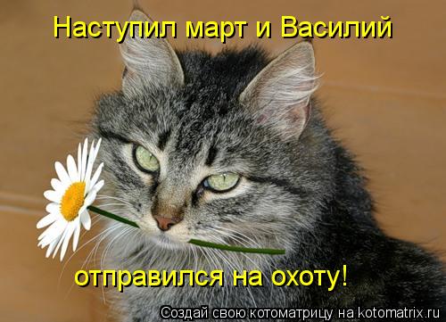 Котоматрица: Наступил март и Василий отправился на охоту!