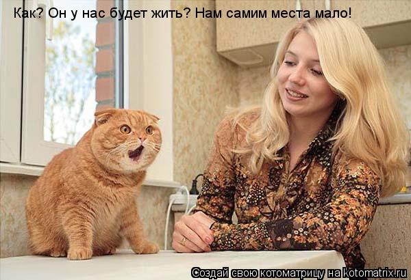 Котоматрица: Как? Он у нас будет жить? Нам самим места мало!