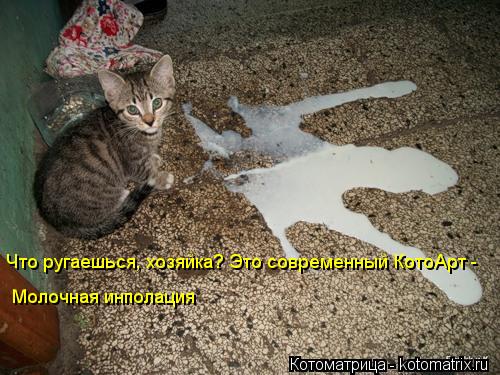 Котоматрица: Молочная инполация Что ругаешься, хозяйка? Это современный КотоАрт -