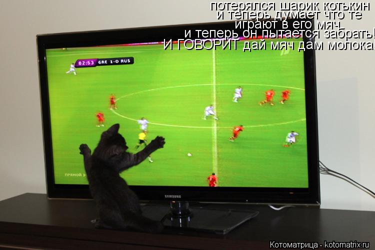 Котоматрица: потерялся шарик котькин  и теперь думает что те играют в его мяч  и теперь он пытается забрать! И ГОВОРИТ дай мяч дам молока!