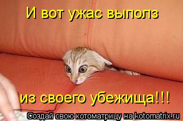 Котоматрица: И вот ужас выполз из своего убежища!!!