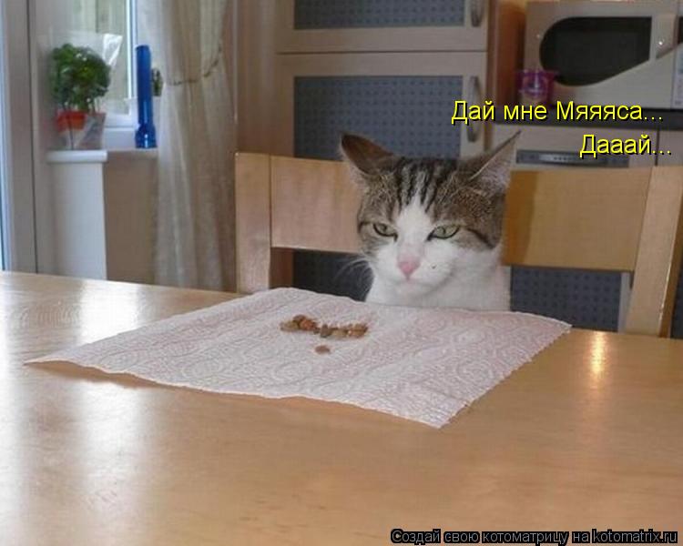 Дай мне Мяяяса... Дааай...... Котоматрица: Дай мне Мяяяса... Дааай...