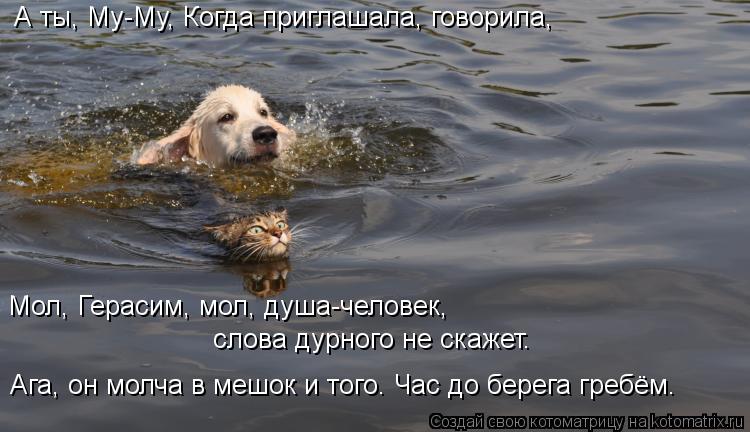 Котоматрица: А ты, Му-Му, Когда приглашала, говорила, Мол, Герасим, мол, душа-человек,  слова дурного не скажет. Ага, он молча в мешок и того. Час до берега гр