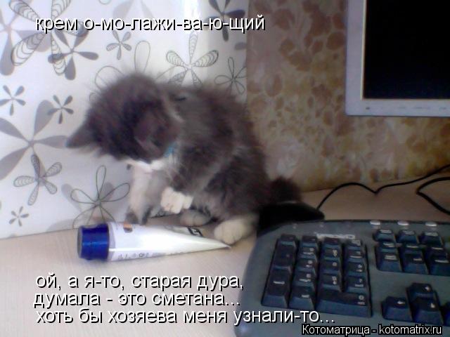 Котоматрица: крем о-мо-лажи-ва-ю-щий  ой, а я-то, старая дура,  думала - это сметана... хоть бы хозяева меня узнали-то...