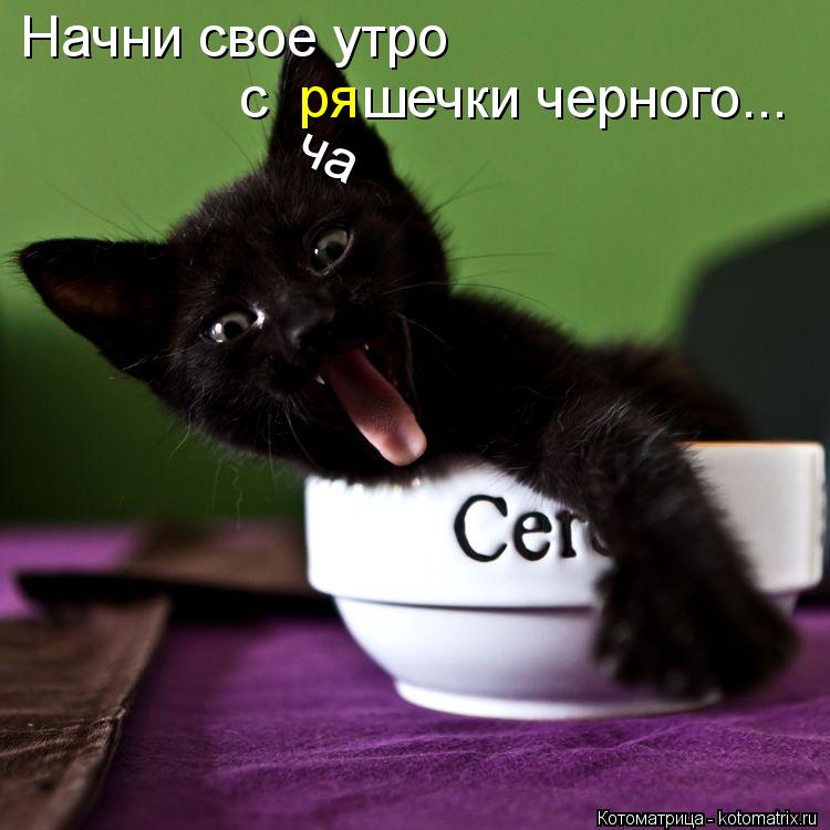 Начни свое утро с шечки черного... ря ча... Котоматрица: Начни свое утро с шечки черного... ря ча