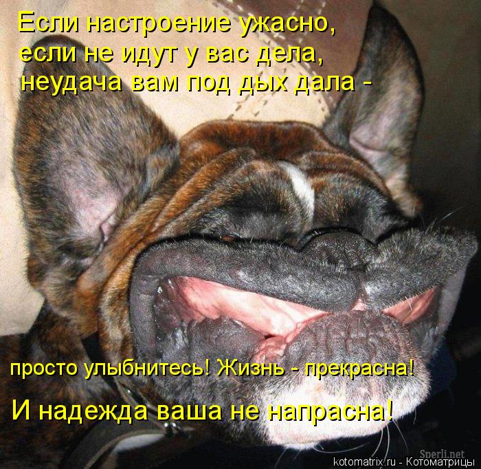 Котоматрица: Если настроение ужасно,  просто улыбнитесь! Жизнь - прекрасна! если не идут у вас дела,  неудача вам под дых дала -  И надежда ваша не напрасна!