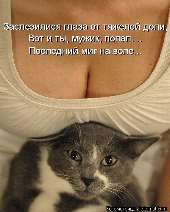 Котоматрица: Заслезилися глаза от тяжелой доли, Вот и ты, мужик, попал.... Последний миг на воле...