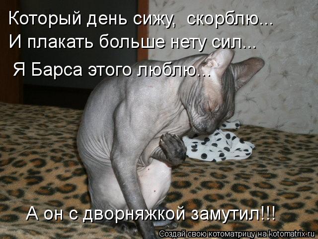 Котоматрица: Который день сижу,  скорблю... И плакать больше нету сил... Я Барса этого люблю... А он с дворняжкой замутил!!!