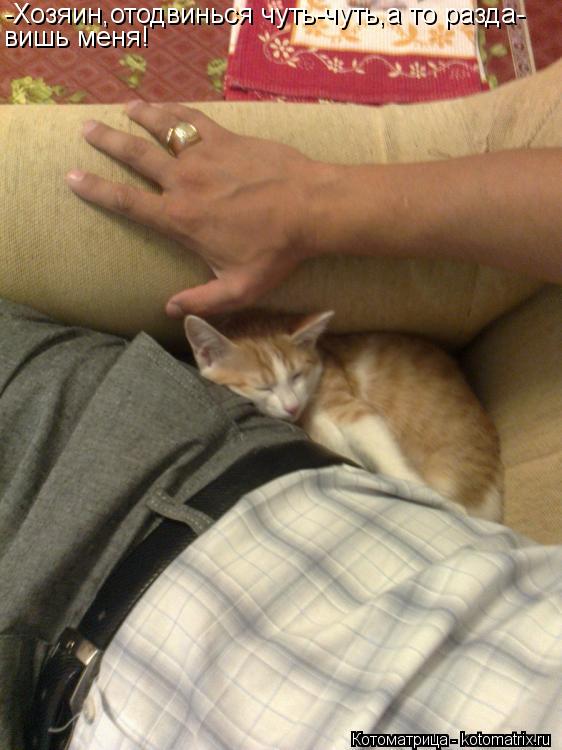 Котоматрица: -Хозяин,отодвинься чуть-чуть,а то разда- вишь меня!