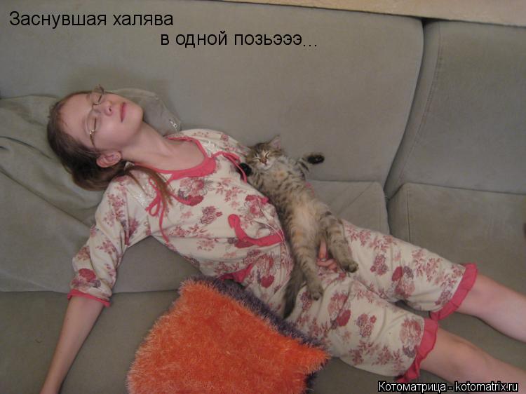 Котоматрица: Заснувшая халява в одной позьэээ ...