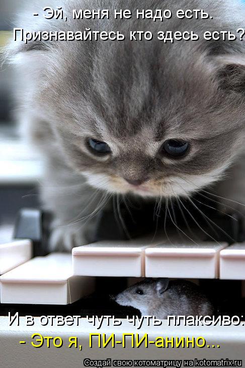 Котоматрица: - Это я, ПИ-ПИ-анино...  - Эй, меня не надо есть.   Признавайтесь кто здесь есть?  И в ответ чуть чуть плаксиво: