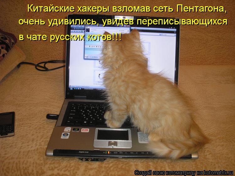 Котоматрица: Китайские хакеры взломав сеть Пентагона, очень удивились, увидев переписывающихся в чате русских котов!!!