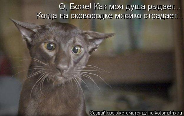 Котоматрица: О, Боже! Как моя душа рыдает... Когда на сковородке мясико страдает...