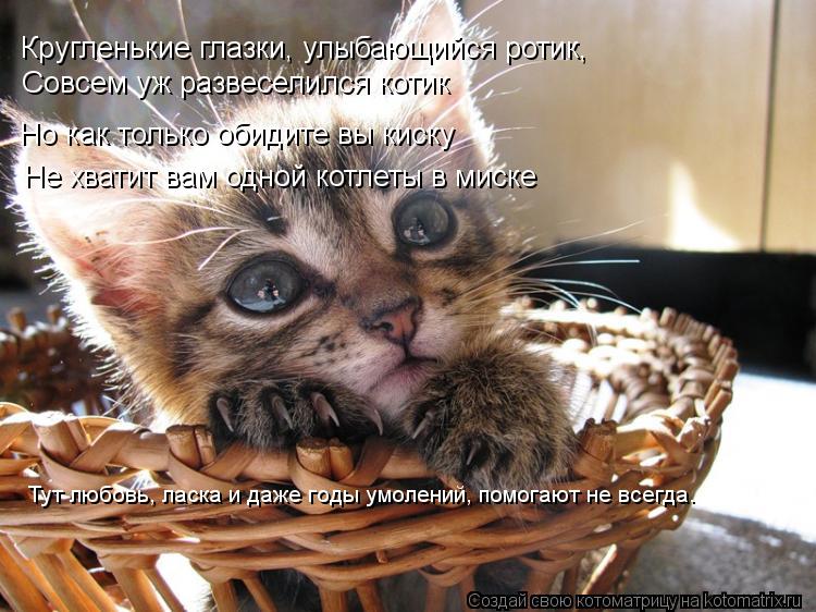 Кругленькие глазки, улыбающийся ротик, Совсем уж развеселился котик Но как только обидите вы киску Не... Котоматрица: Кругленькие глазки, улыбающийся ротик, Совсем уж развеселился котик Но как только обидите вы киску Не хватит вам одной котлеты в миске Тут