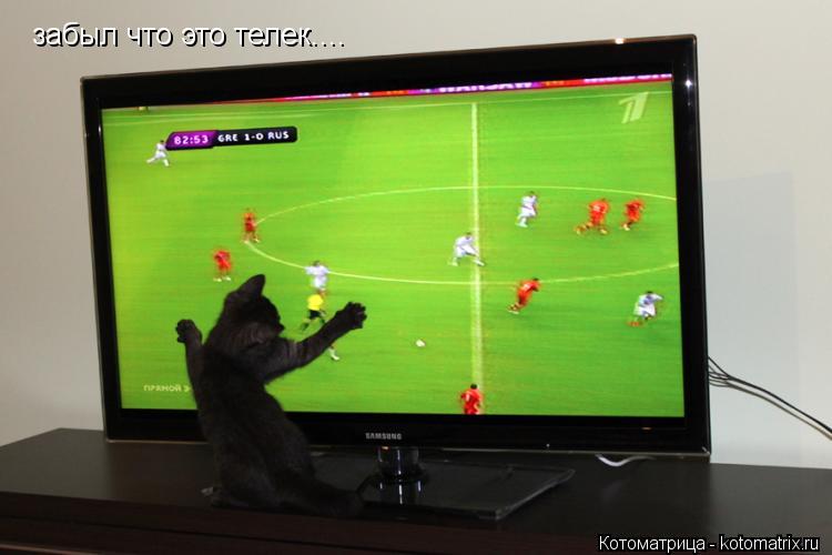 Котоматрица: забыл что это телек....