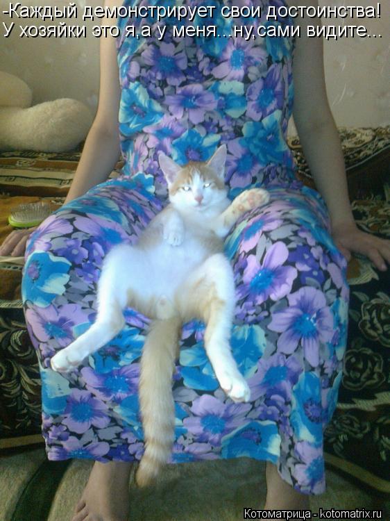 Котоматрица: -Каждый демонстрирует свои достоинства! У хозяйки это я,а у меня...ну,сами видите...