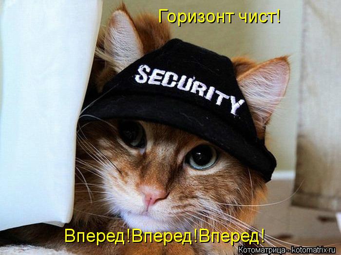 Котоматрица: Горизонт чист! Вперед!Вперед!Вперед!