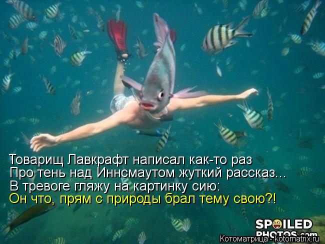 Котоматрица: Товарищ Лавкрафт написал как-то раз Про тень над Иннсмаутом жуткий рассказ... В тревоге гляжу на картинку сию: Он что, прям с природы брал тем